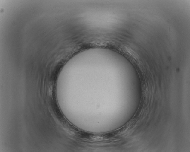 X0000090470315200707131025