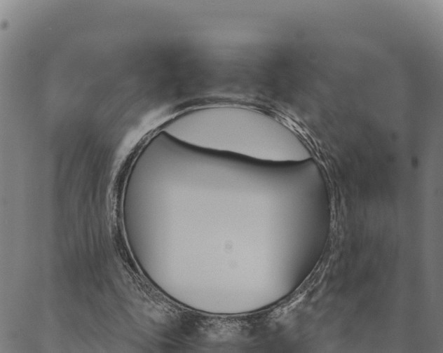 X0000090470343200707131024