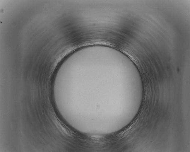 X0000090470350200707131024