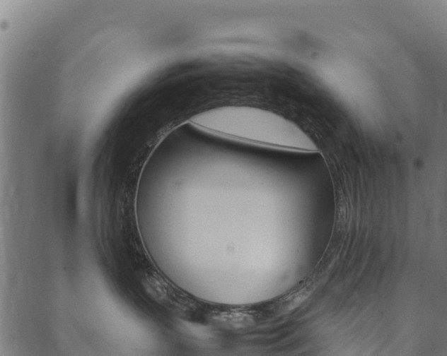 X0000090470383200707131024
