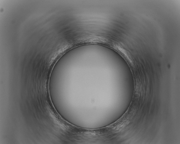 X0000090470394200707131024