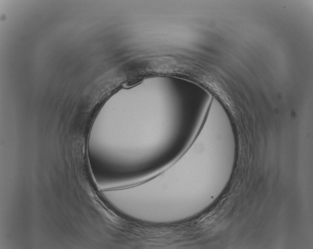 X0000090470397200707131024