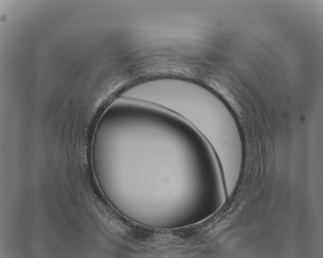 X0000090470399200707131024