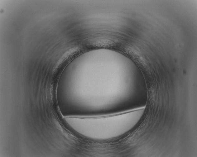 X0000090470400200707131023