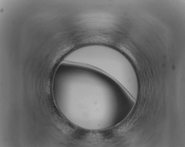 X0000090470403200707131023