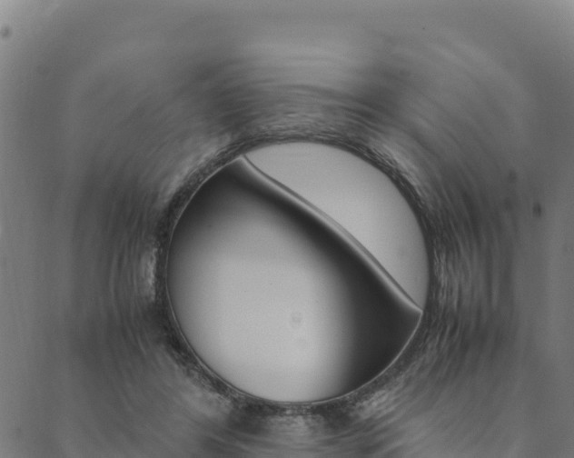 X0000090470404200707131023