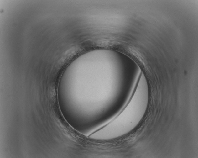 X0000090470407200707131023