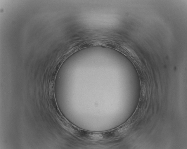 X0000090470409200707131023