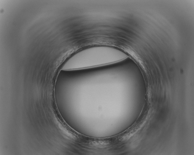 X0000090470445200707131022