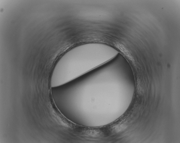 X0000090470449200707131022