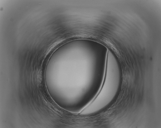 X0000090470484200707131022