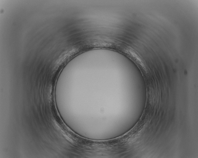 X0000090470490200707131022