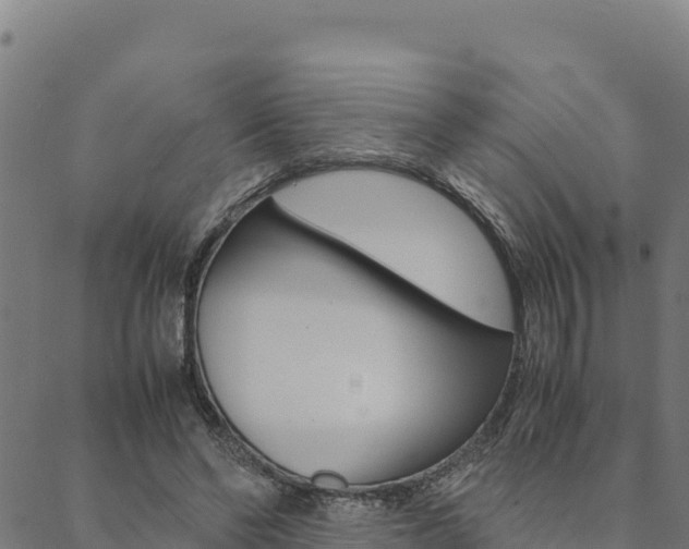 X0000090470494200707131022