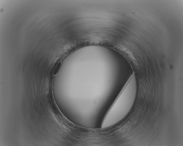 X0000090470496200707131022