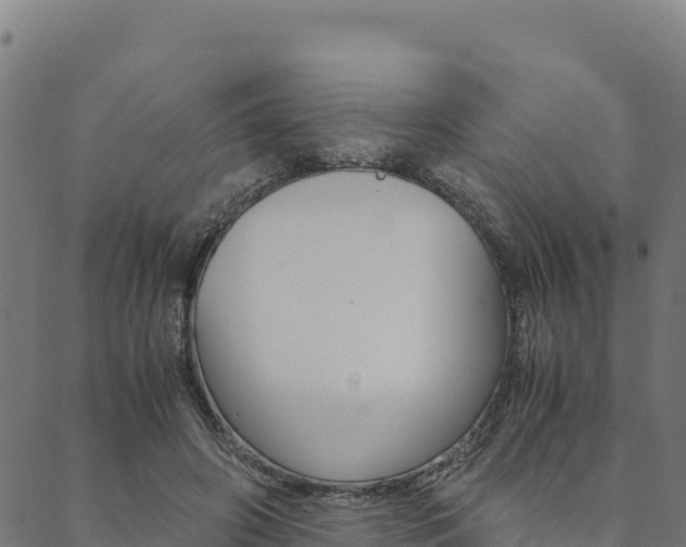 X0000090470498200707131022