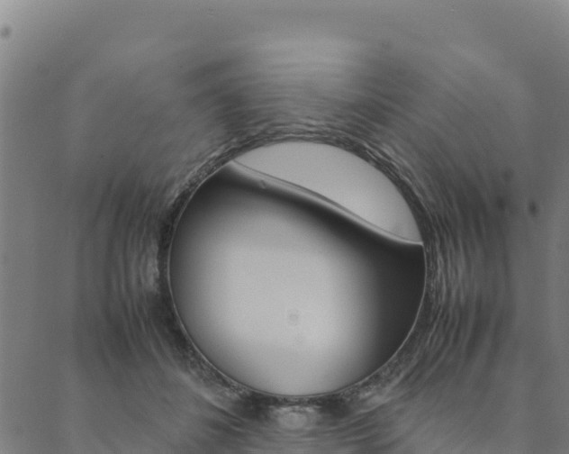 X0000090470508200707131022