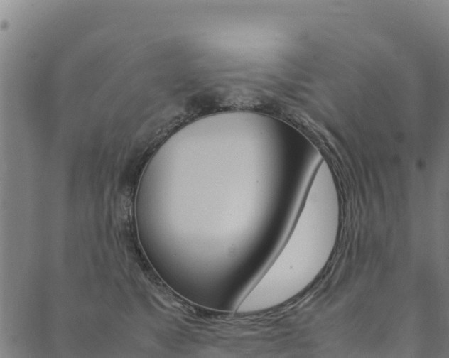 X0000090470517200707131022