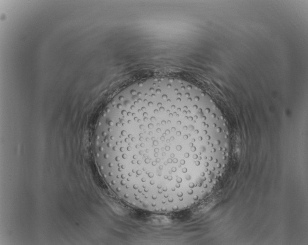 X0000090470519200707131022