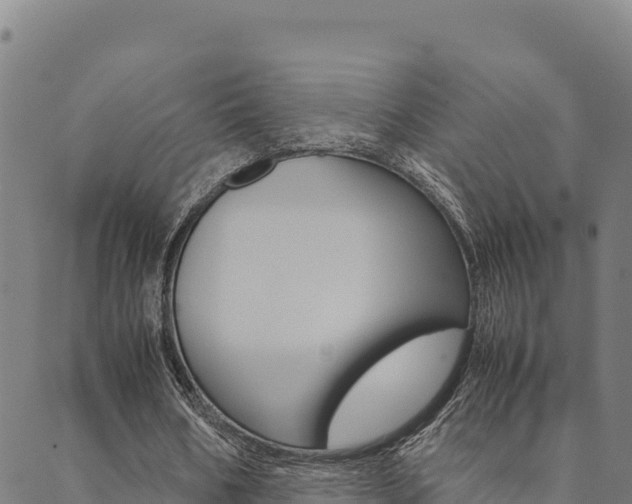 X0000090470578200707131021