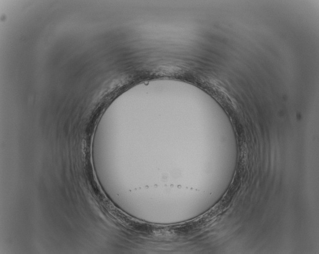 X0000090470591200707131020