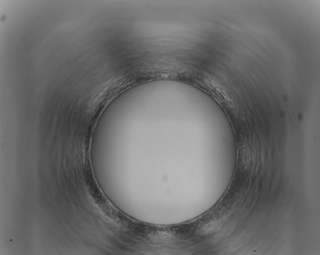 X0000090470594200707131020