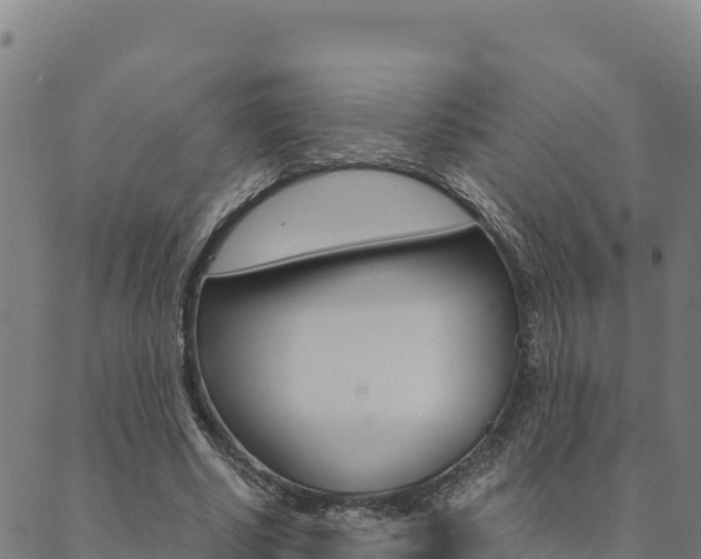 X0000090470634200707131019