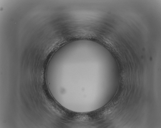 X0000090470642200707131019