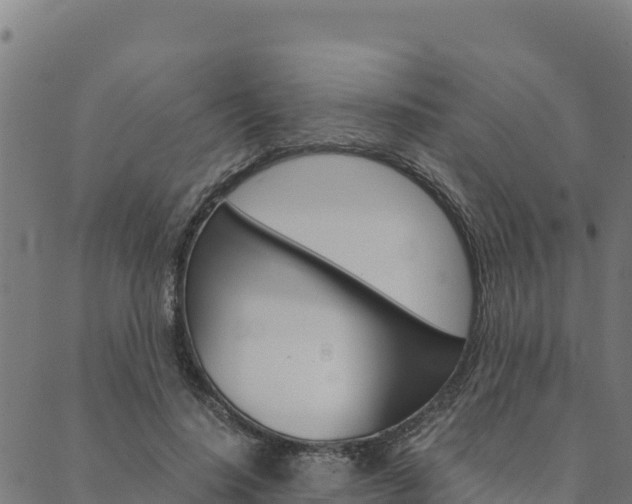 X0000090470644200707131019
