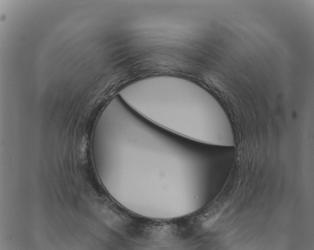 X0000090470646200707131019