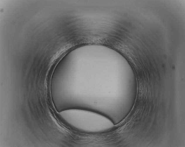 X0000090470674200707131019