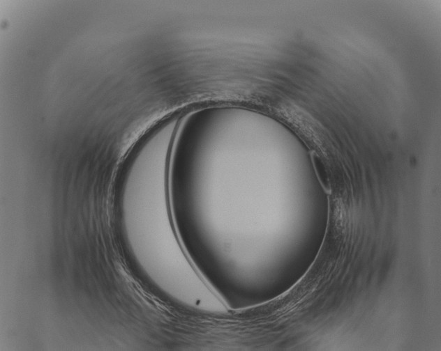 X0000090470676200707131019