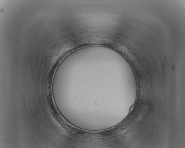 X0000090470683200707131019