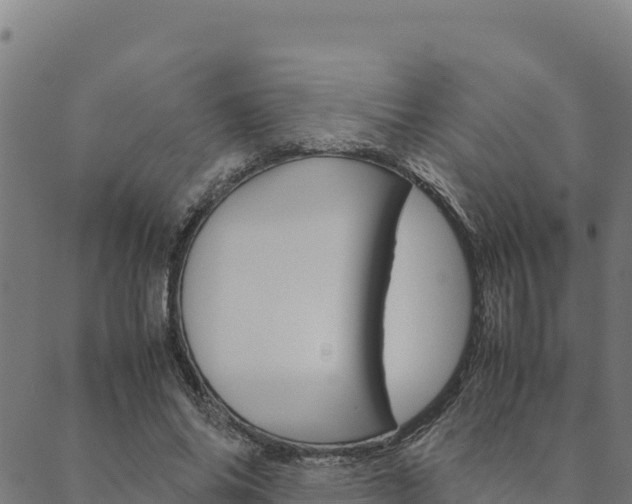 X0000090470686200707131019