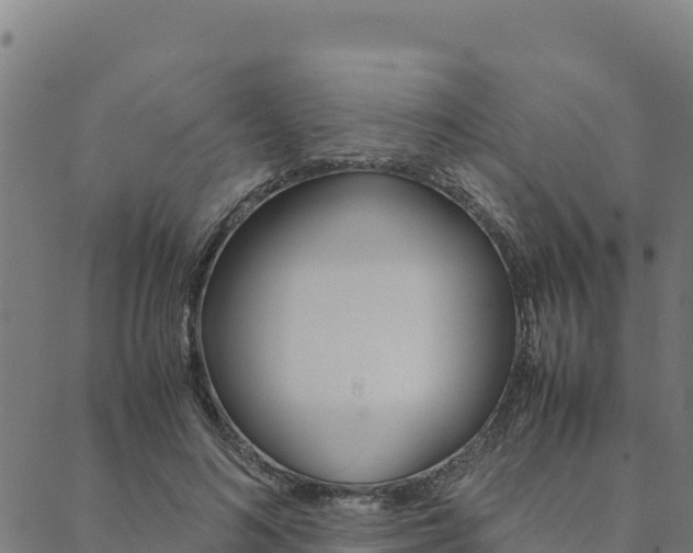 X0000090470692200707131019