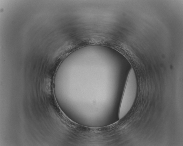 X0000090470696200707131019