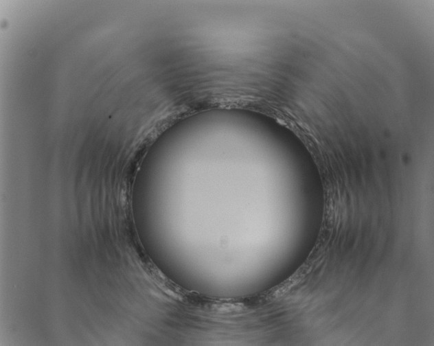 X0000090470716200707131018