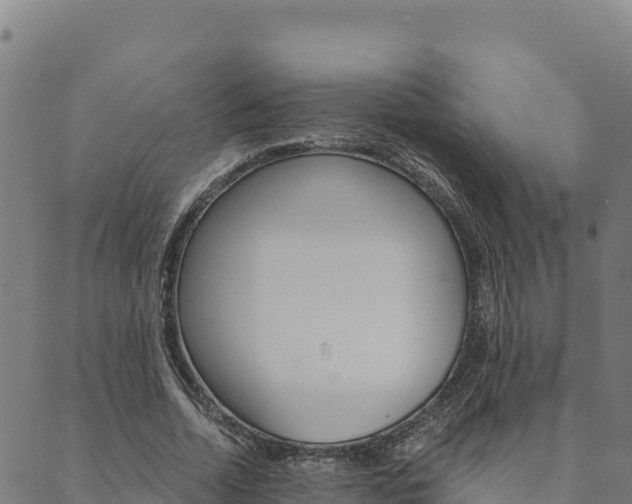 X0000090470730200707131018