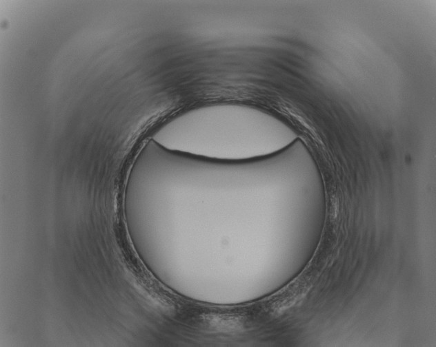 X0000090470733200707131018