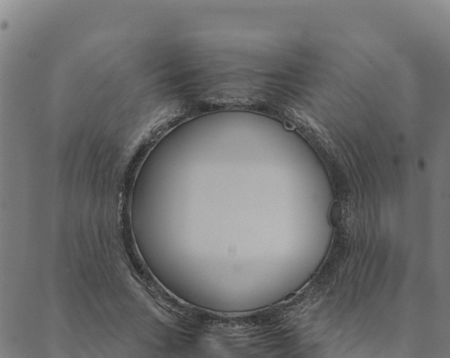 X0000090470735200707131018
