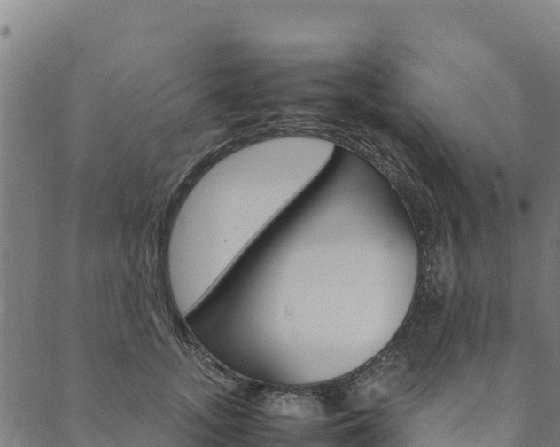X0000090470755200707131018
