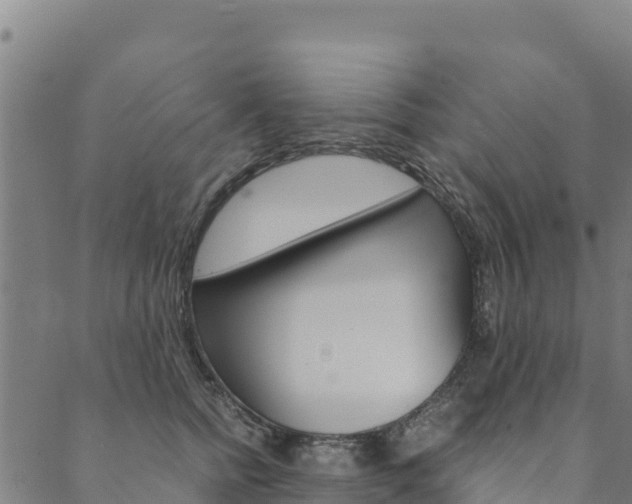 X0000090470758200707131018