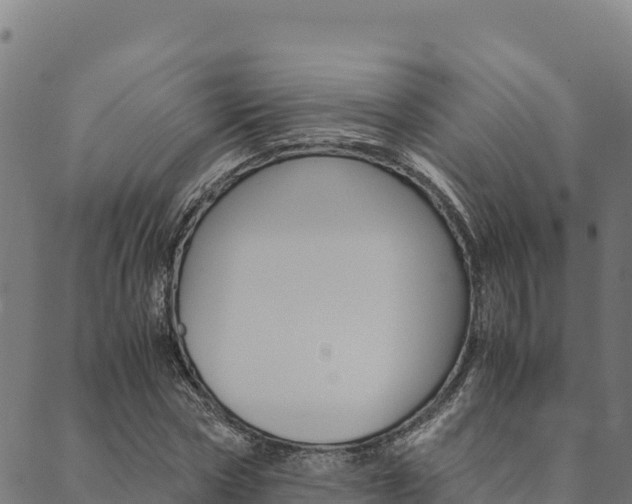 X0000090470778200707131017