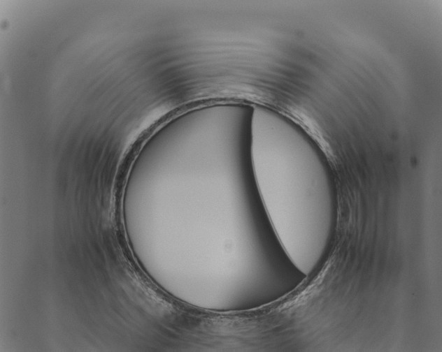 X0000090470780200707131017