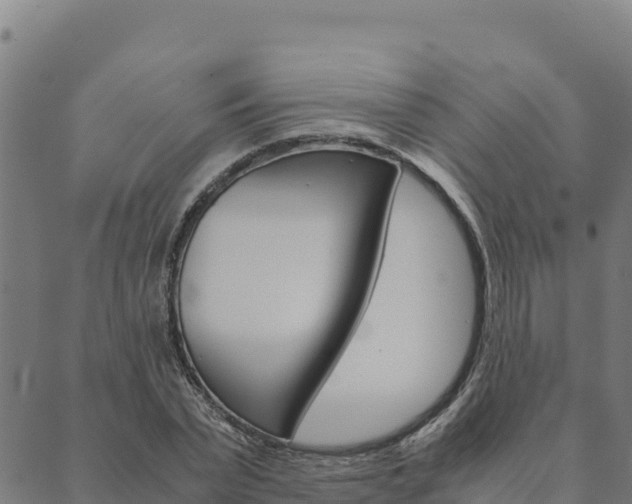 X0000090470783200707131017