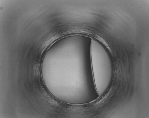 X0000090470786200707131017
