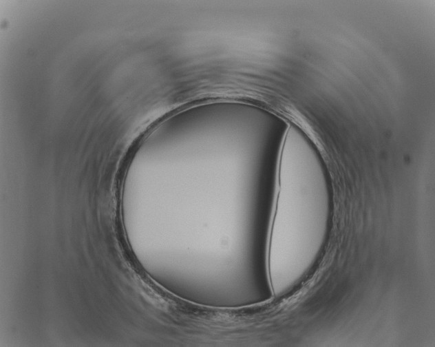 X0000090470787200707131017