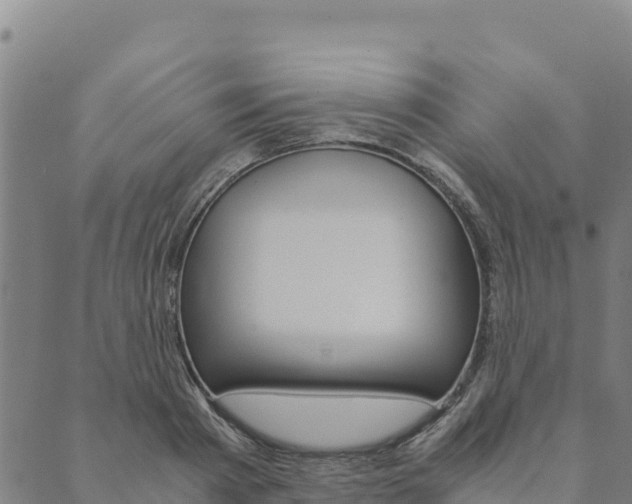 X0000090470793200707131017