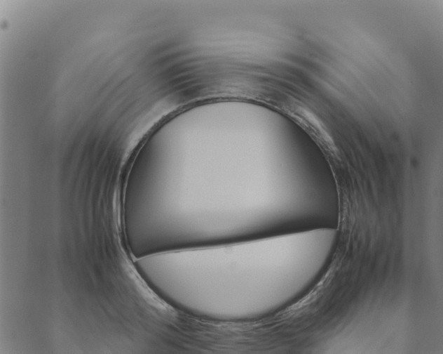 X0000090470796200707131017