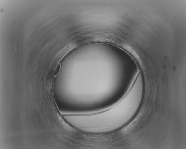 X0000090470801200707131017