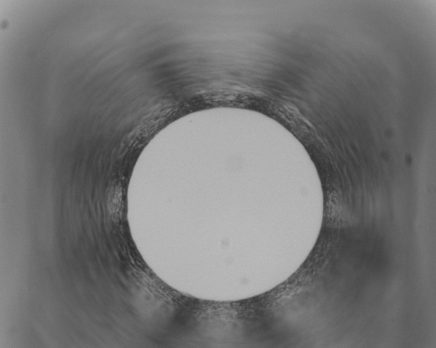X0000090470820200707131016